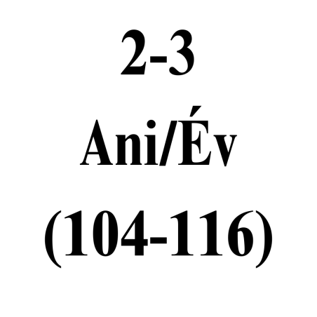 2-4 Ani (104-116)